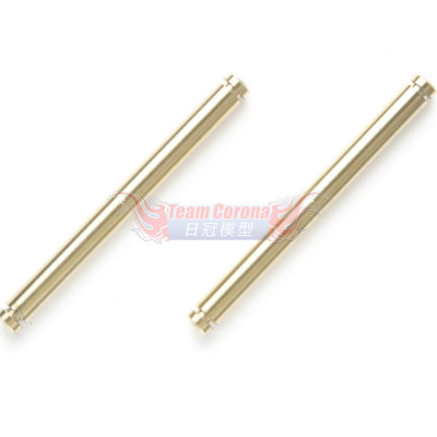 Tamiya 54160 F104 TITANIUM COATED KING PIN (2PCS.)